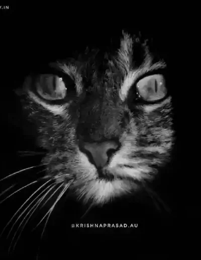 kriznchill artist krishna pencil drawing